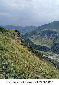 Grassy Hillside Of The Gudauri Mountain