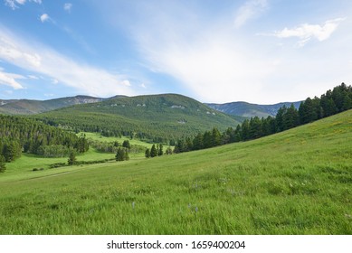 Grassy Hillside At A Montana Farm