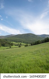 Grassy Hillside At A Montana Farm