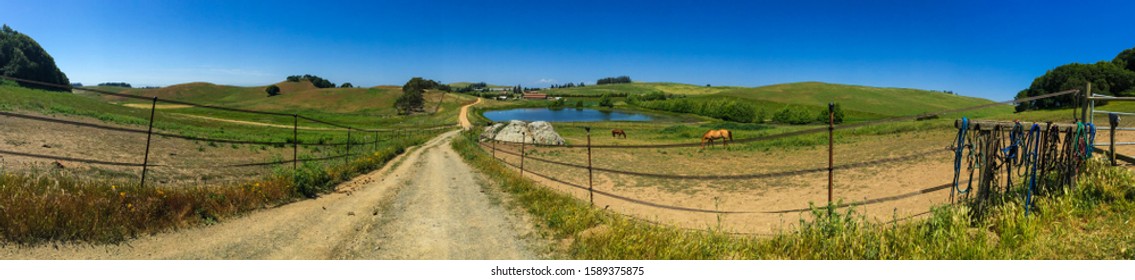 Grassy Horse Ranch Landscape Panorama