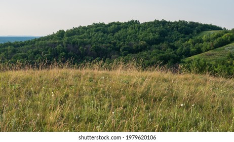 grassy meadows and deciduous forests in a hilly area, rural landscape. Summer season, June, Ukraine. Europe. Web banner.