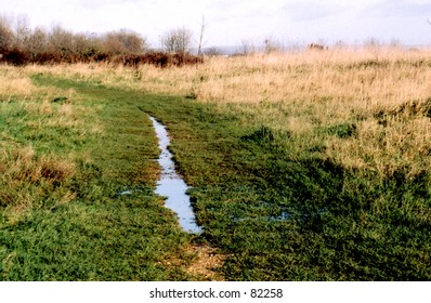 A grassy path