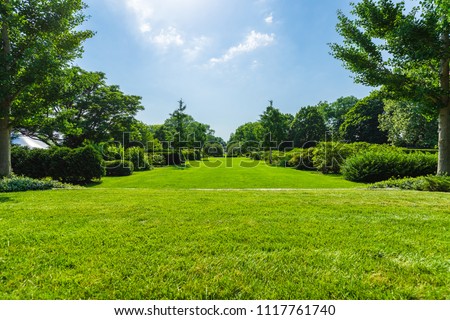 A grassy path surrounded by trees and bushes on a summer day.