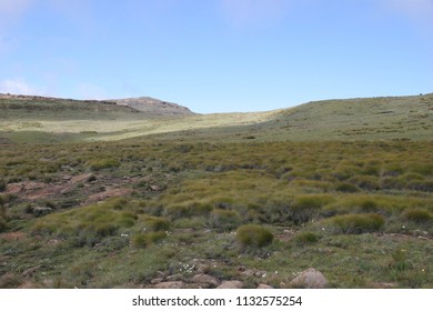 Grassy Plain in Lesotho