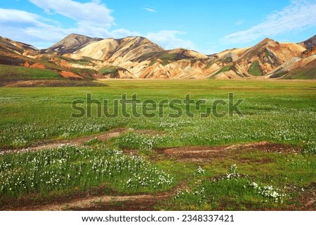 Grassy plains and colourful mountains at Landmannalaugar, Fjallabak Nature Reserve, Sudurland, South Iceland, Iceland