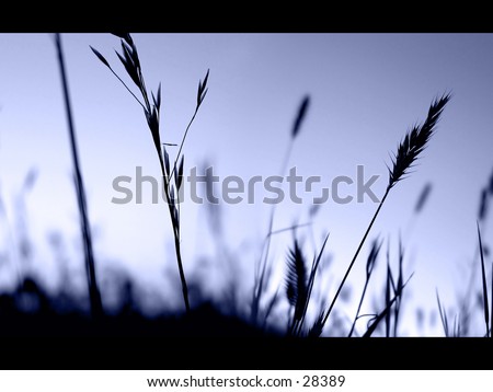 Similar – Image, Stock Photo western beach