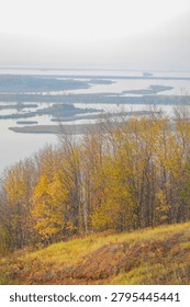 From a grassy slope, an array of golden trees overlooks a sprawling waterway dotted with islands. The subdued sky enhances the peaceful atmosphere of this serene fall panorama.