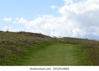 Grassy walking path leading to a wooden gate amidst wildflowers under a bright blue sky near Seven Sisters Cliffs in East Sussex, England - Powered by Shutterstock