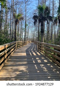 Grassy Waters Everglades Preserve In Palm Beach Gardens, Florida