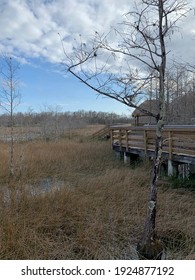 Grassy Waters Everglades Preserve In Palm Beach Gardens, Florida