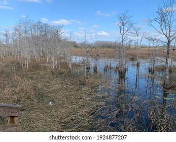 Grassy Waters Everglades Preserve In Palm Beach Gardens, Florida