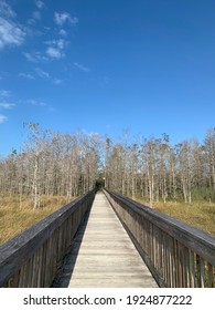 Grassy Waters Everglades Preserve In Palm Beach Gardens, Florida