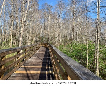 Grassy Waters Everglades Preserve In Palm Beach Gardens, Florida