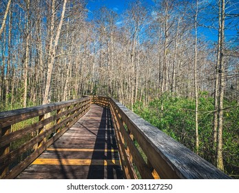 Grassy Waters Everglades Preserve In Palm Beach Gardens, Florida