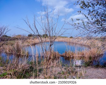 A Grate Fishing Spot In The Local Nature Reserve