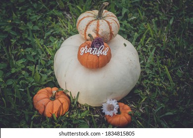 Grateful Word Art Upon A Stack Of Varied Pumpkins Including A Large White Pumpkin And Smaller Orange And White Pumpkins All Set On A Grassy Field With Fabric Purple And White Flowers.