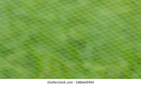 ฺBlurred Grating Net for background.