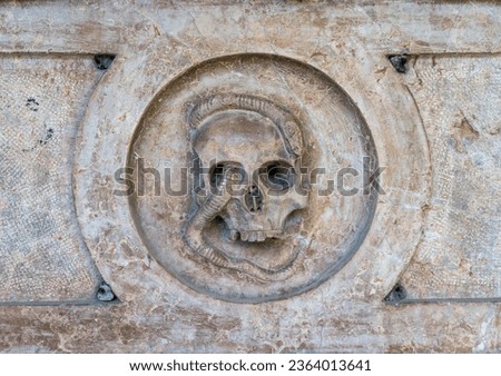Grave carving of snake slithering through skull