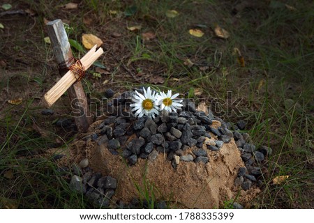 the grave of the family's beloved pet, a sand mound and a hand-made wooden cross, a couple of daisies