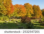 Grave markers in the 1849 protestant Mount Hermon Cemetery seen during a bright sunny fall afternoon, Quebec City, Quebec, Canada