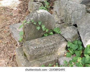 Grave Markers In Abandoned Cemetery
