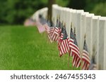 Grave markers with American flags at Arlington National Cemetery.