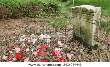 A grave on a cemetry with spread flowers