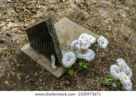 Grave in pet cemetery with tombstone commemorative plate, selective focus. Background with copy space