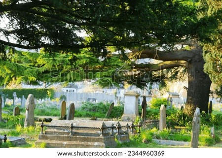Grave Stones and Buriel Tombs Under Ancient Tree in Church Cemetary in England