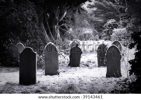 Grave stones in the snow in black and white