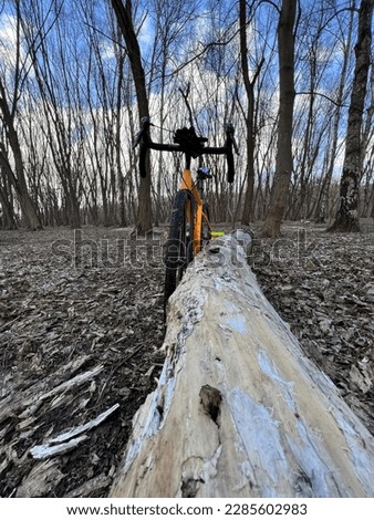 Gravel bicycle on the park in the spring season. [[stock_photo]] © 