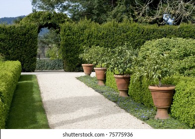 Gravel Garden Walkway Lined With Potted Plants, Hedge With Archway In The Background, Springtime