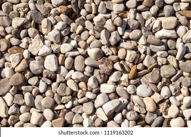 289 Loose aggregation Images, Stock Photos & Vectors | Shutterstock