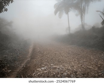 A gravel path leads through a foggy tropical forest - Powered by Shutterstock