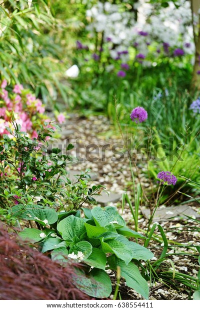 Gravel Path Romantic Cottage Garden Spring Stock Photo Edit Now