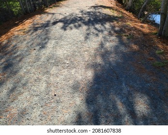 A gravel path with tire tracks worn into the trail from cars driving over the same spot. The thin road way goes through the woods covered in thick, dense foliage.