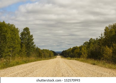 A gravel road between trees in the countryside
