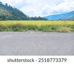 A gravel road borders a field of ripe rice plants, with a mountainous landscape in the background.