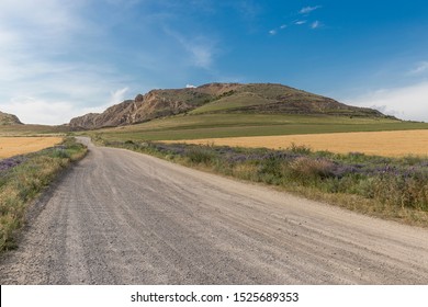 Gravel road leading to ancient mountains in wheat fields, shot in Romania countryside