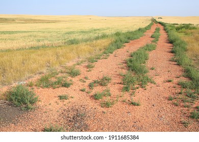 Gravel road in Little Missouri National Grassland, North Dakota, USA