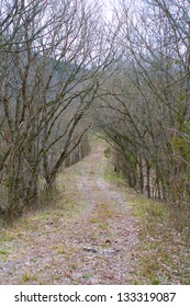 Gravel Road In Ozark Mountains In Mid Winter.