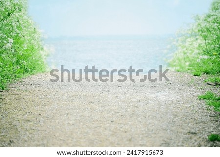 Gravel road to the sea passes through green bushes with white flowers Summer landscape Road to the sea