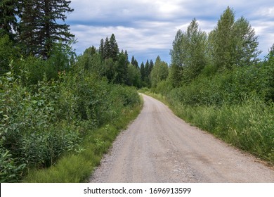 A gravel road through the forest in rural British Columbia, Canada
