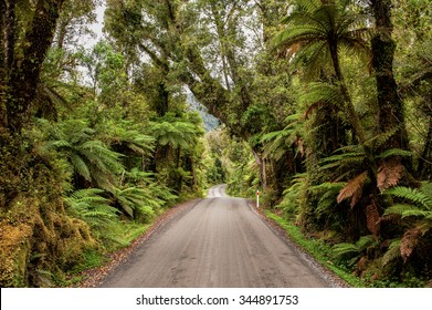 Gravel Road Through Rainforest On The West Coast Of South Island, New Zealand