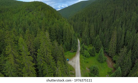 A Gravel Road Winding Along Sadu River Through Wild, Green, Coniferous Forests Of Cindrel Mountains. Carpathia, Romania.