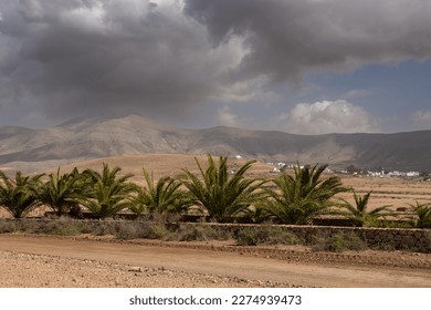 Gravel sandy road, lined by young palm trees. Moutains on the horizon. Village with white houses in the valley. Cloudy stormy sky in the winter season. Los Molinos area, Fuerteventura, Canary Islands. - Powered by Shutterstock