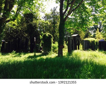 Graves In The Vienna Central Cemetery