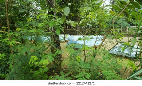 The Graves In The Village Are Not Well Maintained