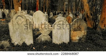 Gravestones in Highgate Cemetery in London