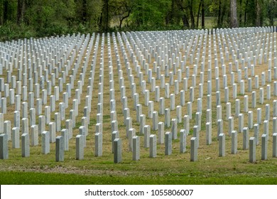 Gravestones Line Up In A Military Cemetary